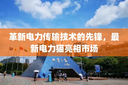 革新电力传输技术的先锋，最新电力猫亮相市场