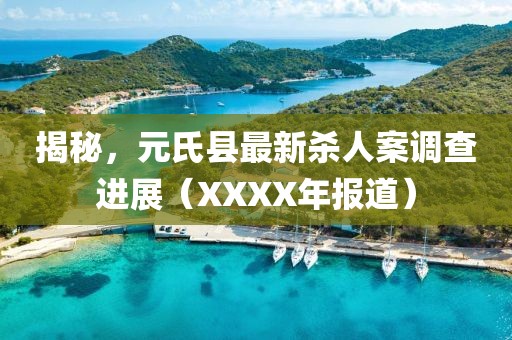 揭秘，元氏县最新杀人案调查进展（XXXX年报道）