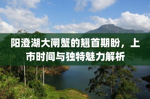 阳澄湖大闸蟹的翘首期盼，上市时间与独特魅力解析