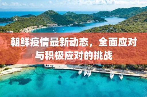 朝鲜疫情最新动态，全面应对与积极应对的挑战