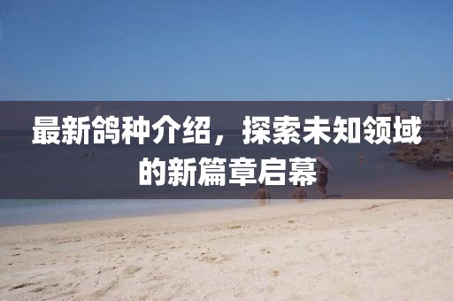 最新鸽种介绍，探索未知领域的新篇章启幕