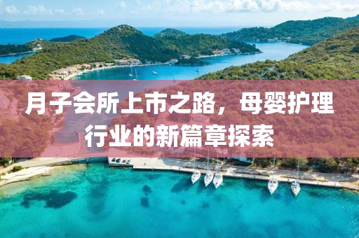 月子会所上市之路，母婴护理行业的新篇章探索