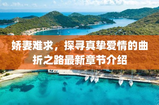 娇妻难求，探寻真挚爱情的曲折之路最新章节介绍