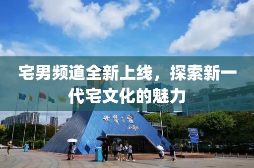 宅男频道全新上线，探索新一代宅文化的魅力