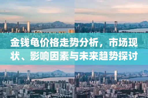 金钱龟价格走势分析，市场现状、影响因素与未来趋势探讨