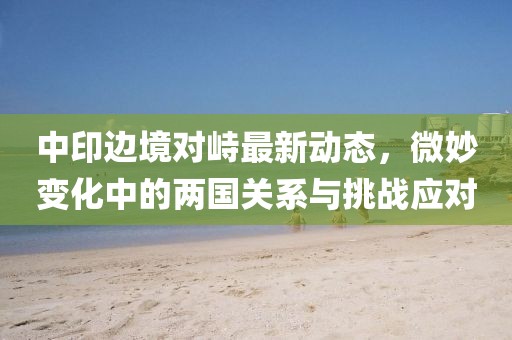 中印边境对峙最新动态，微妙变化中的两国关系与挑战应对
