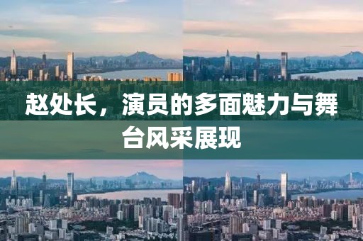 赵处长，演员的多面魅力与舞台风采展现