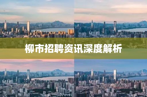 柳市招聘资讯深度解析