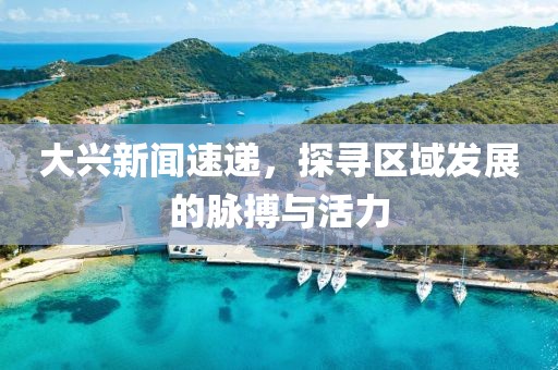大兴新闻速递，探寻区域发展的脉搏与活力