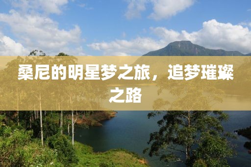 桑尼的明星梦之旅，追梦璀璨之路
