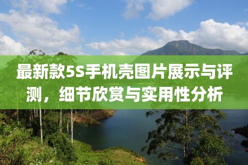 最新款5S手机壳图片展示与评测，细节欣赏与实用性分析
