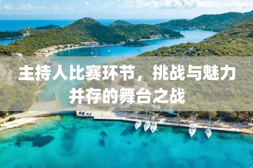 主持人比赛环节，挑战与魅力并存的舞台之战