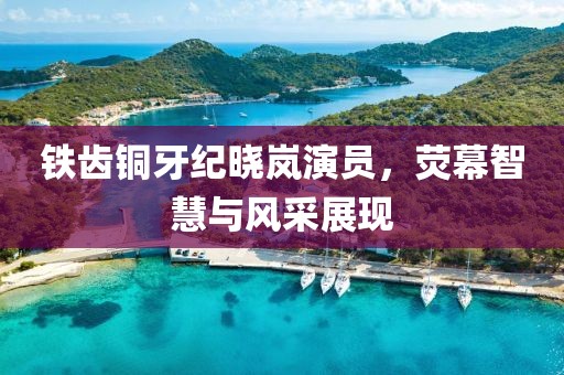 铁齿铜牙纪晓岚演员，荧幕智慧与风采展现