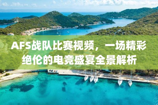 AFS战队比赛视频，一场精彩绝伦的电竞盛宴全景解析