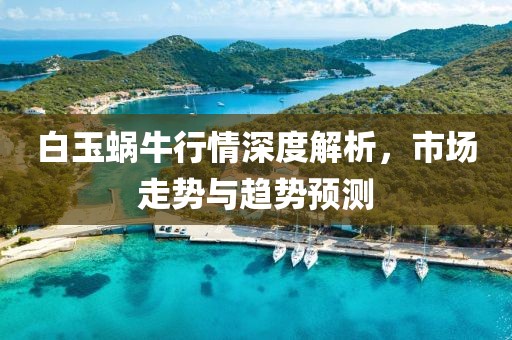 白玉蜗牛行情深度解析，市场走势与趋势预测