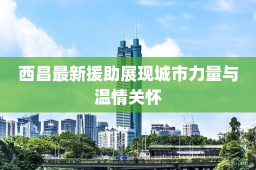 西昌最新援助展现城市力量与温情关怀
