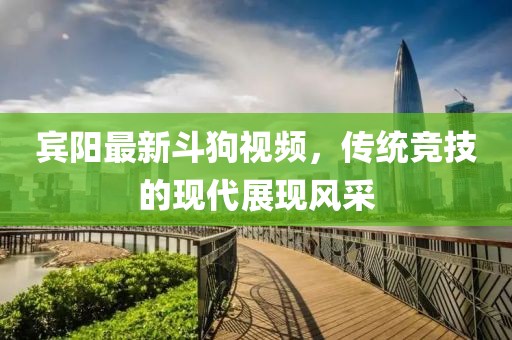 宾阳最新斗狗视频，传统竞技的现代展现风采