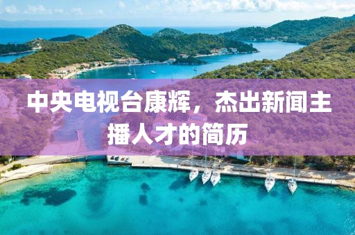 中央电视台康辉，杰出新闻主播人才的简历