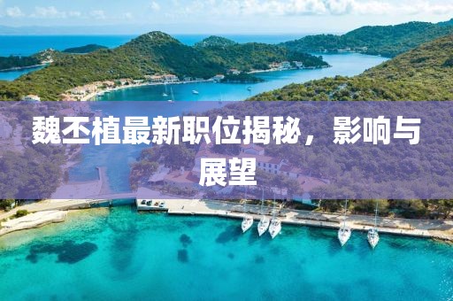 魏丕植最新职位揭秘，影响与展望