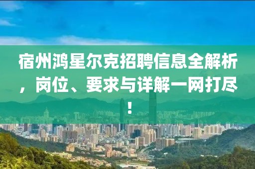 宿州鸿星尔克招聘信息全解析，岗位、要求与详解一网打尽！
