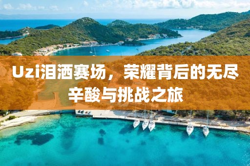 Uzi泪洒赛场，荣耀背后的无尽辛酸与挑战之旅