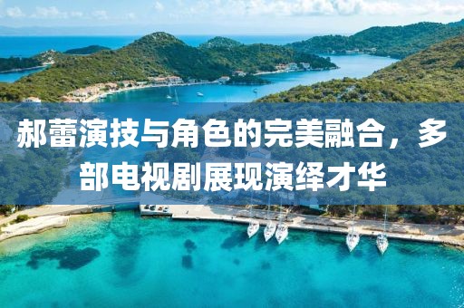 郝蕾演技与角色的完美融合，多部电视剧展现演绎才华