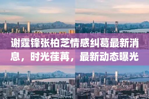 谢霆锋张柏芝情感纠葛最新消息，时光荏苒，最新动态曝光