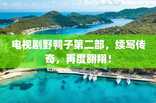 电视剧野鸭子第二部，续写传奇，再度翱翔！