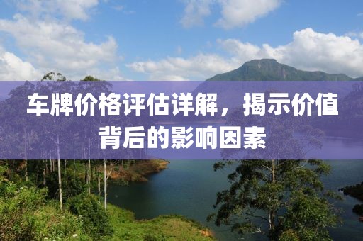 车牌价格评估详解，揭示价值背后的影响因素
