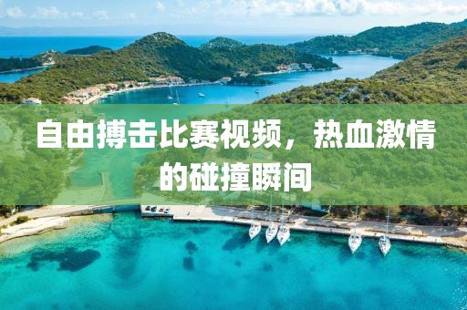 自由搏击比赛视频，热血激情的碰撞瞬间