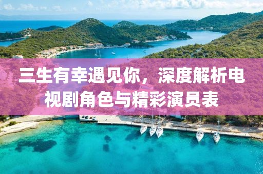 三生有幸遇见你，深度解析电视剧角色与精彩演员表
