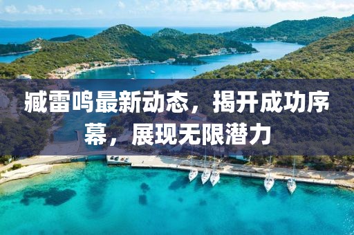 臧雷鸣最新动态，揭开成功序幕，展现无限潜力