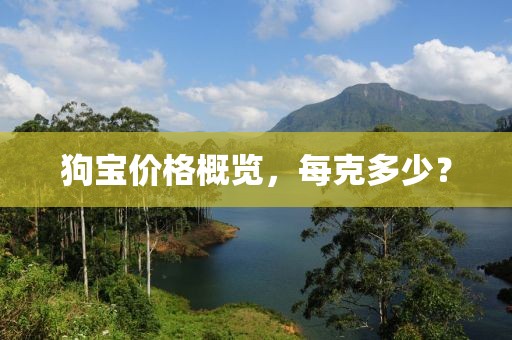 狗宝价格概览，每克多少？