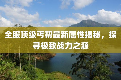 全服顶级丐帮最新属性揭秘，探寻极致战力之源