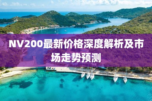 NV200最新价格深度解析及市场走势预测