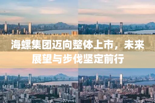 海螺集团迈向整体上市，未来展望与步伐坚定前行