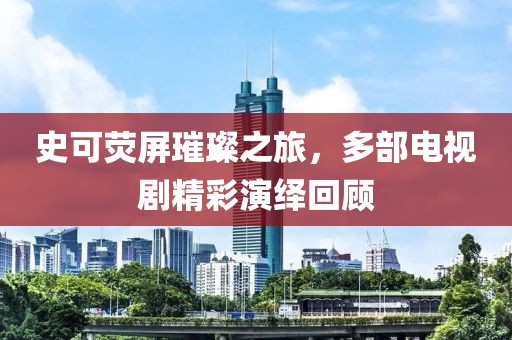 史可荧屏璀璨之旅，多部电视剧精彩演绎回顾
