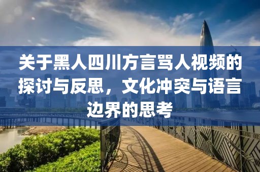 关于黑人四川方言骂人视频的探讨与反思，文化冲突与语言边界的思考
