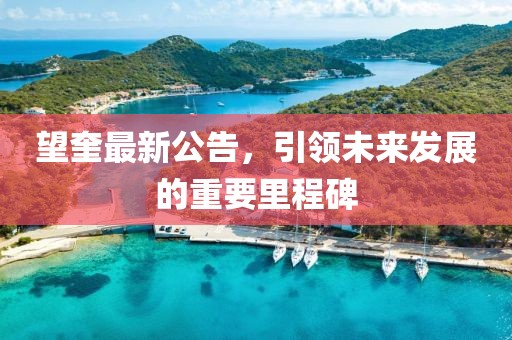 望奎最新公告，引领未来发展的重要里程碑