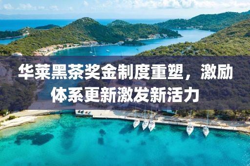 华莱黑茶奖金制度重塑，激励体系更新激发新活力
