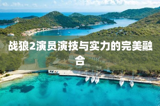 战狼2演员演技与实力的完美融合
