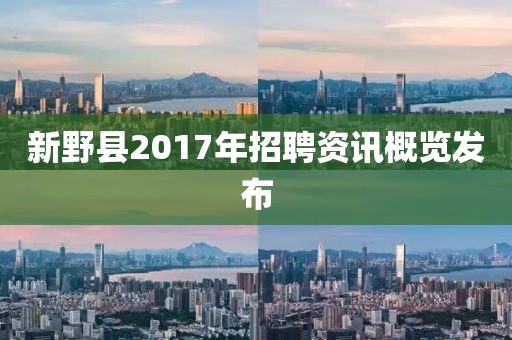新野县2017年招聘资讯概览发布