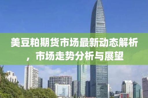 美豆粕期货市场最新动态解析，市场走势分析与展望