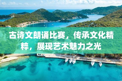古诗文朗诵比赛，传承文化精粹，展现艺术魅力之光