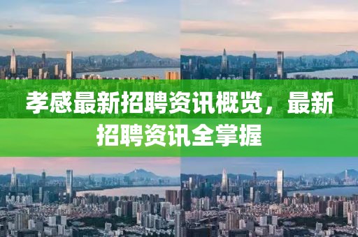 孝感最新招聘资讯概览，最新招聘资讯全掌握