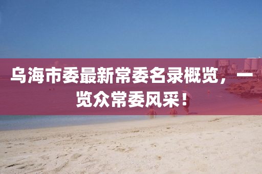 乌海市委最新常委名录概览，一览众常委风采！