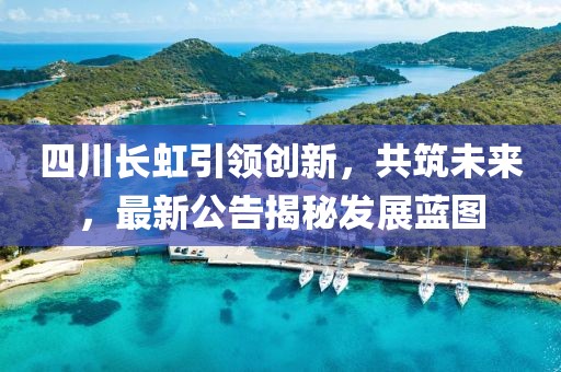 四川长虹引领创新，共筑未来，最新公告揭秘发展蓝图