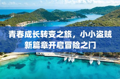 青春成长转变之旅，小小盗贼新篇章开启冒险之门