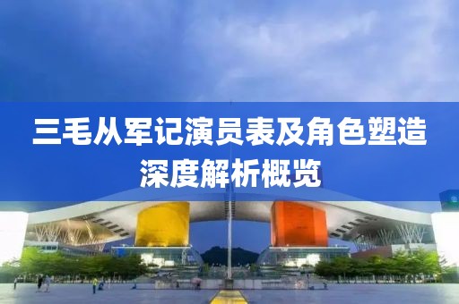 三毛从军记演员表及角色塑造深度解析概览