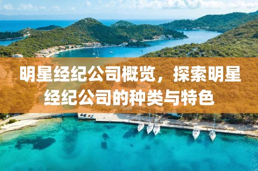 明星经纪公司概览，探索明星经纪公司的种类与特色